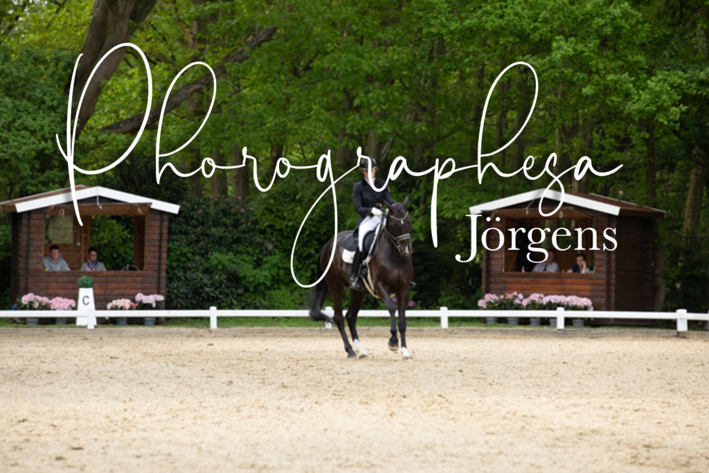 IMG_3136 | photographesa-joergens - Realisiert mit Pictrs.com