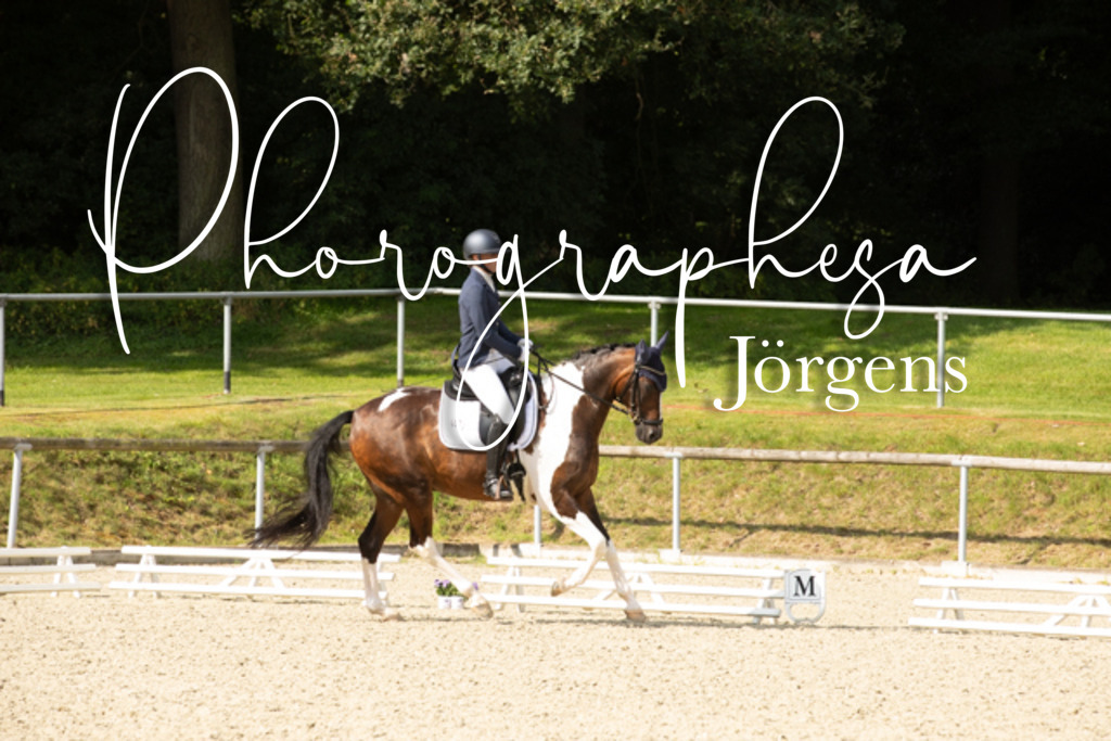 IMG_8245 | photographesa-joergens - Realisiert mit Pictrs.com