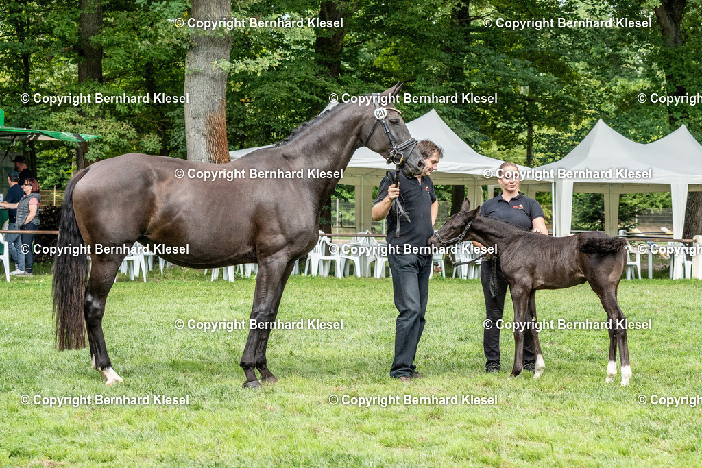 _DSC1694 | foto-team-bernhard - Realisiert mit Pictrs.com