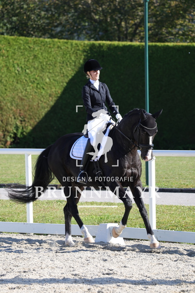 0P6A5096 | Willkommen bei Brunnmayr - Design & Fotografie – Ihrem Spezialisten für Reitturniere und Pferdeveranstaltungen in Oberösterreich, Salzburg und Bayern! Seit über 17 Jahren sind wir leidenschaftlich dabei.