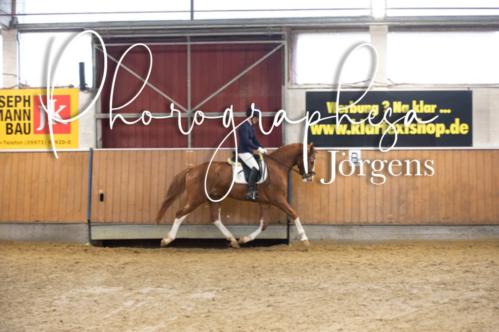 f28526080 | photographesa-joergens - Realisiert mit Pictrs.com
