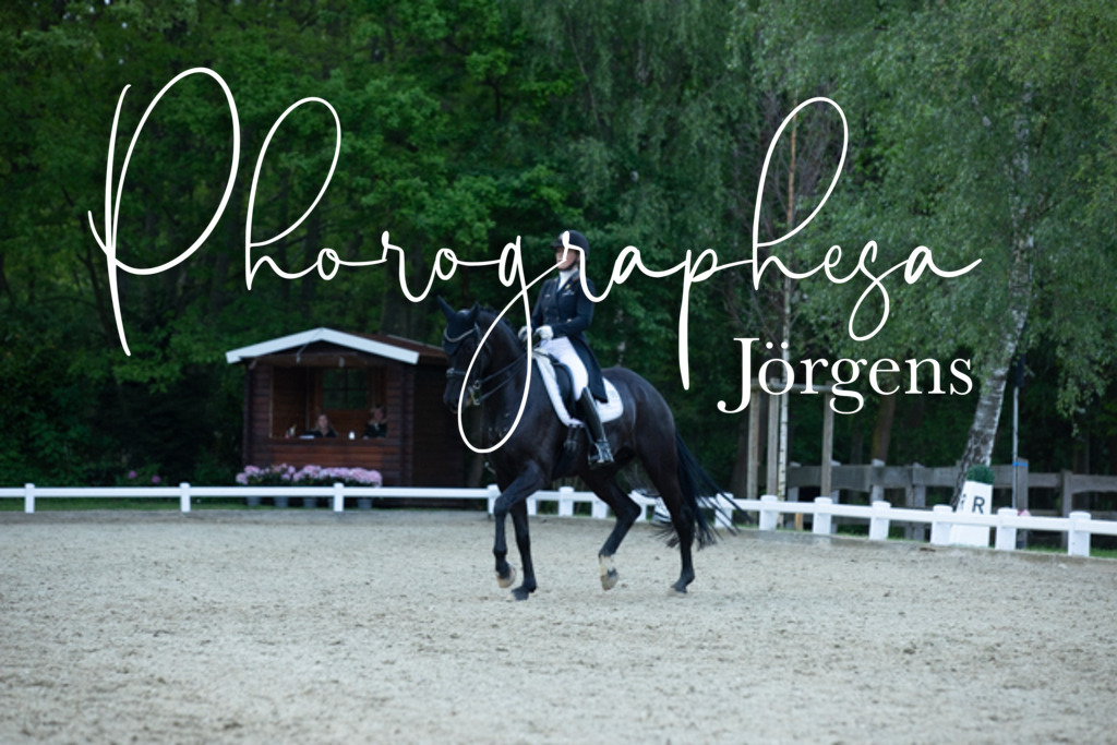 IMG_9685 | photographesa-joergens - Realisiert mit Pictrs.com