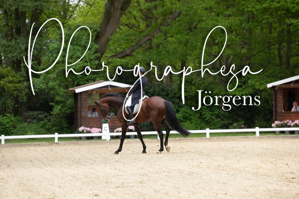 IMG_2358 | photographesa-joergens - Realisiert mit Pictrs.com