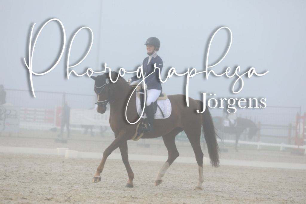 IMG_0660 | photographesa-joergens - Realisiert mit Pictrs.com