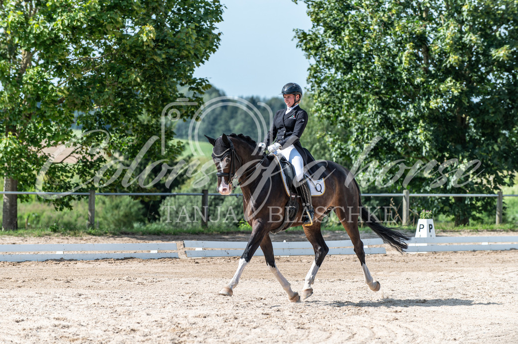 TBL_1888 | Turnierfotos von Reitturnieren in den Landkreisen Biberach, Ravensburg und in ganz Oberschwaben - von Tanja Bläschke - Colorsofahorse - Realisiert mit Pictrs.com