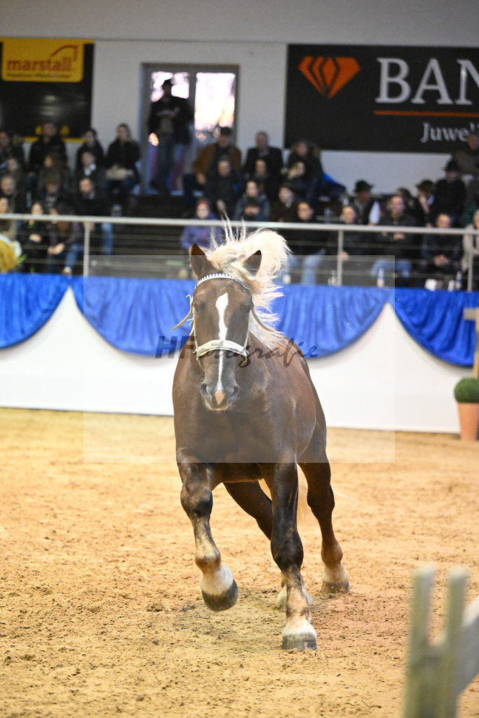 Kat-Nr. 34 nn v. Schmauzenberg_Mayr_61221027 | hf-fotografie - Realisiert mit Pictrs.com