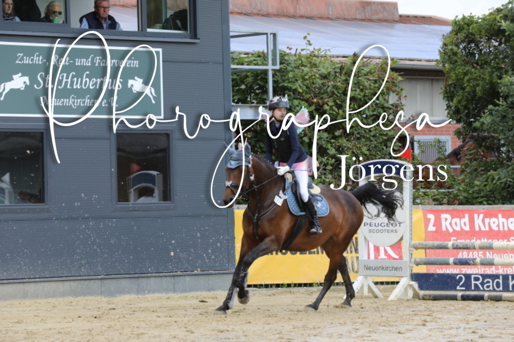 IMG_3750 | photographesa-joergens - Realisiert mit Pictrs.com