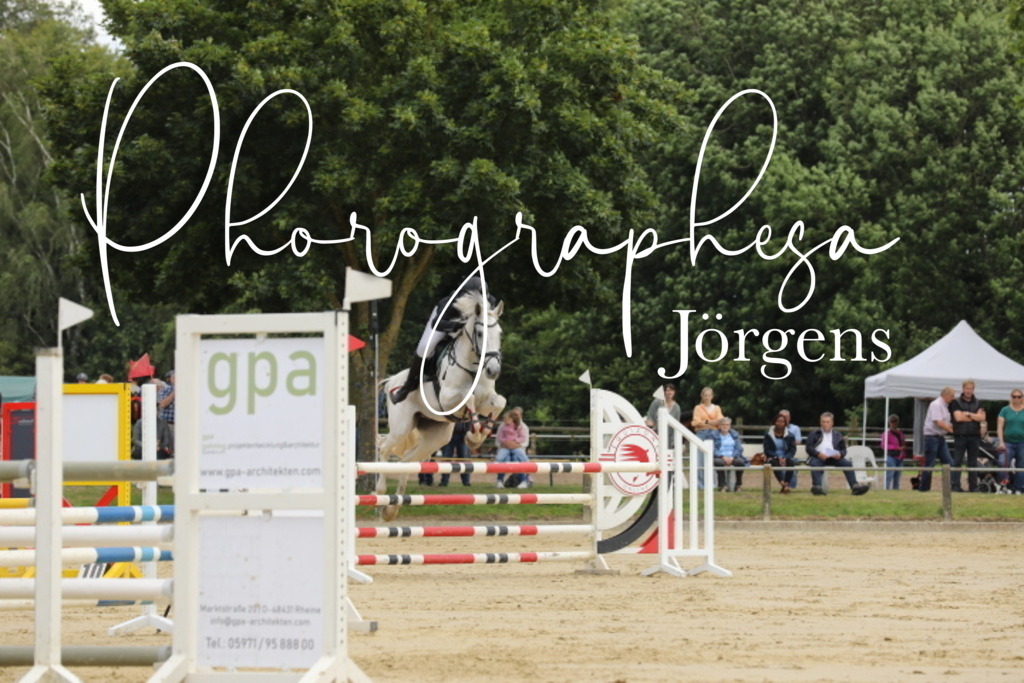 IMG_0091 | photographesa-joergens - Realisiert mit Pictrs.com