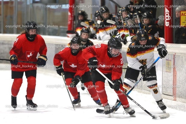 MOWE2284 | hockey sports photos, Pressefotos, Sportfotos, hockey247, win 2day icehockeyleague, Handball Austria, Floorball Austria, ÖVV, Kärntner Eishockeyverband, KEHV, KFV, Kärntner Fussballverband, Österreichischer Volleyballverband, Alps Hockey League, ÖFB, 