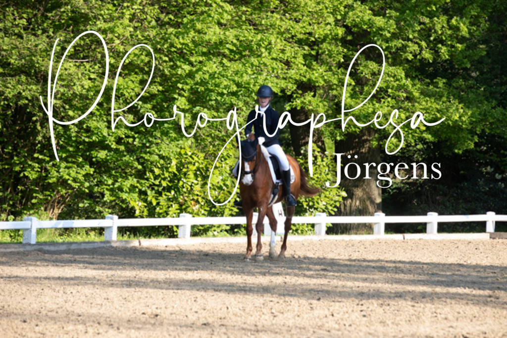 IMG_2250 | photographesa-joergens - Realisiert mit Pictrs.com