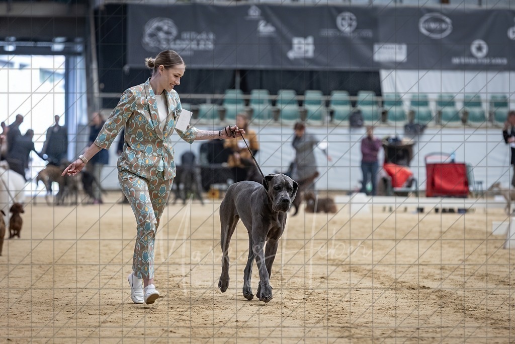 DS - Best in Show_0005 | Markus Heber Photography
