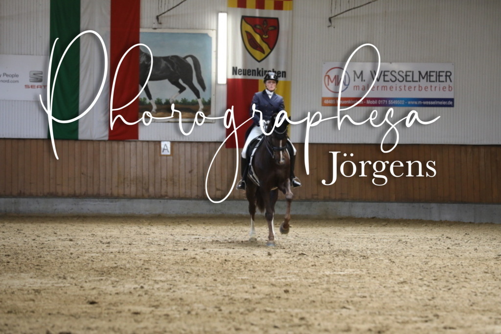 IMG_8606 | photographesa-joergens - Realisiert mit Pictrs.com