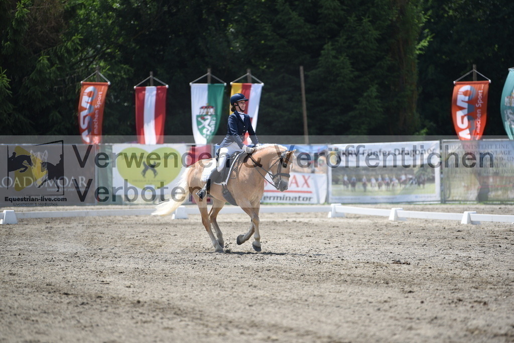 DSC_1036 | equestrian-live-com