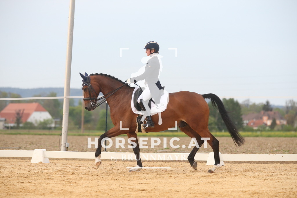 AS8V4291 | Willkommen bei Brunnmayr - Design & Fotografie – Ihrem Spezialisten für Reitturniere und Pferdeveranstaltungen in Oberösterreich, Salzburg und Bayern! Seit über 17 Jahren sind wir leidenschaftlich dabei.