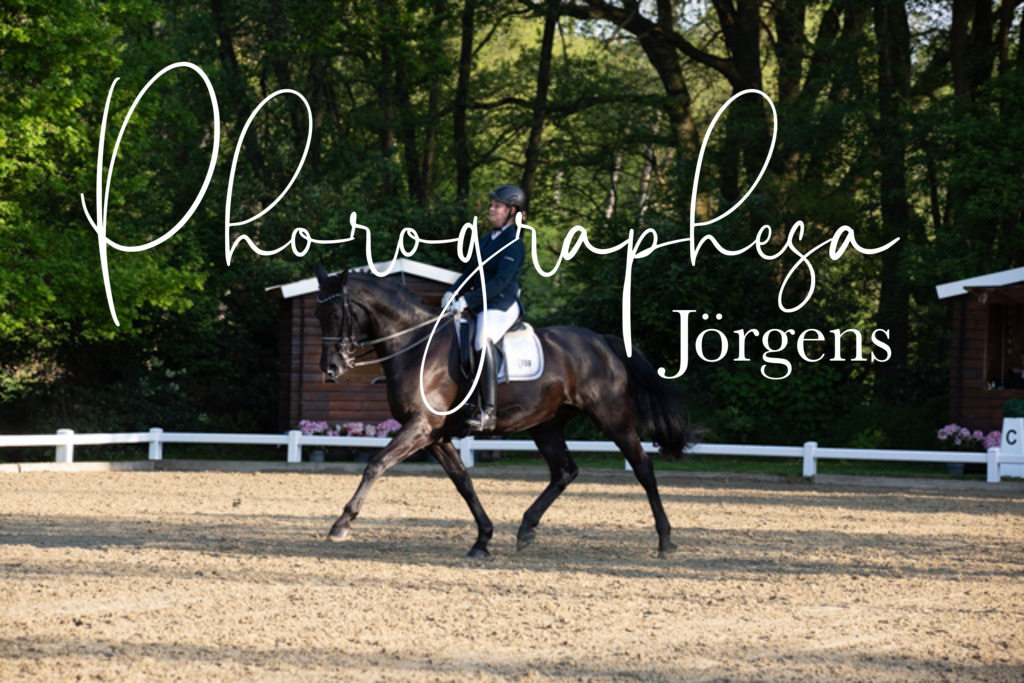 IMG_2046 | photographesa-joergens - Realisiert mit Pictrs.com
