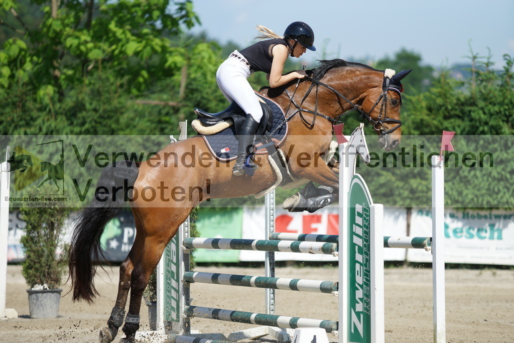 DSC00361 | equestrian-live-com