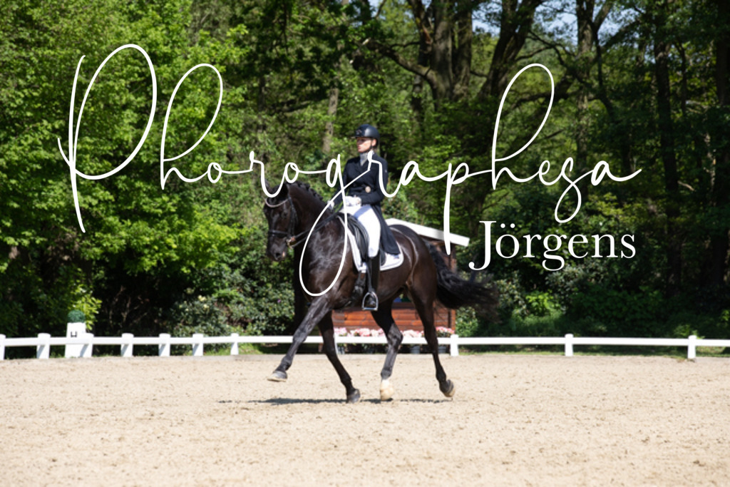 IMG_4136 | photographesa-joergens - Realisiert mit Pictrs.com
