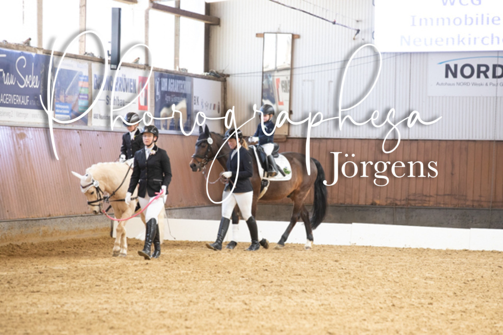 IMG_6550 | photographesa-joergens - Realisiert mit Pictrs.com