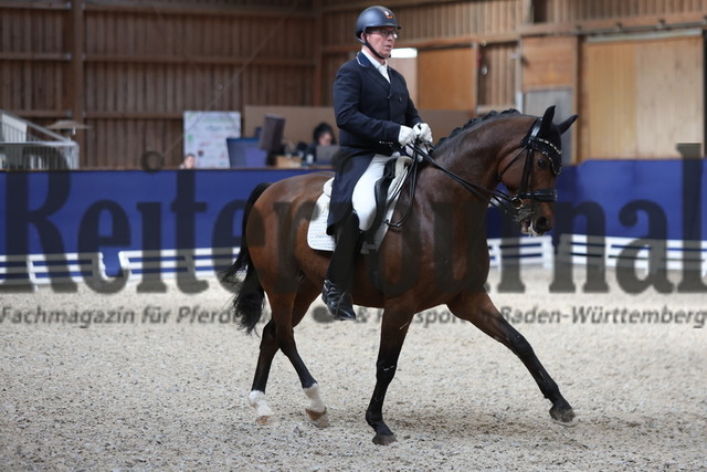 Zeutern_2023_Intermediaire I_Pieter van der Raadt_Remy Martin 67 (4) | Alle Fotos der Reiterjournal Fotografin Doris Matthaes im Reiterjournal Online-Fotoshop. - Realized with Pictrs.com