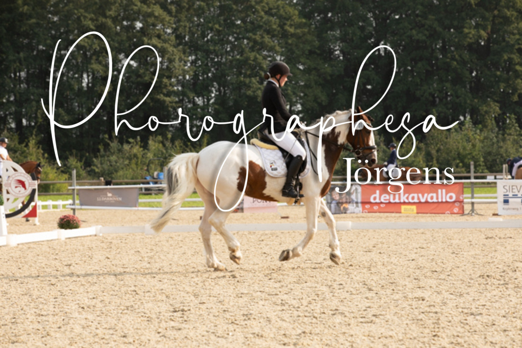 IMG_4969 | photographesa-joergens - Realisiert mit Pictrs.com