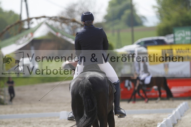 _MG_6906 | equestrian-live-com