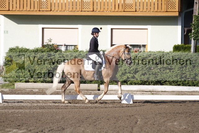 _MG_4685 | equestrian-live-com