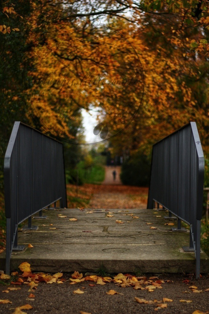 kleine Brücke Laubbäume | only.this.little.world - Realisiert mit Pictrs.com
