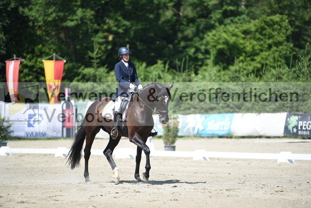 DSC_8492 | equestrian-live-com