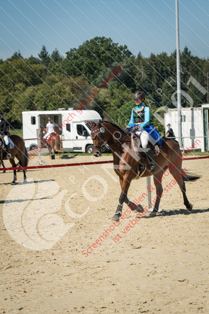 ND5_8937 | Hier findest Du viele Augenblicke aus den Bereichen der Turnier-, Sport- & Tierfotografie. Bilder mit deinem Liebling, Portrait-, Bewerbungs-, Businessbilder können ebenfalls schnell und einfach erstellt werden.