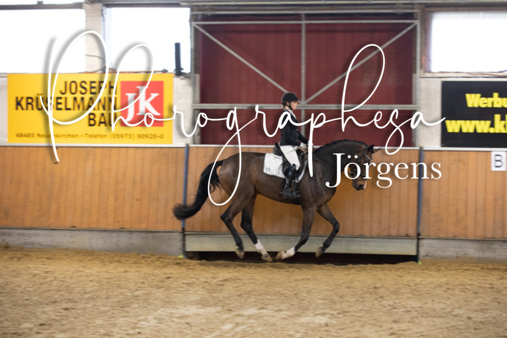 f23793408 | photographesa-joergens - Realisiert mit Pictrs.com