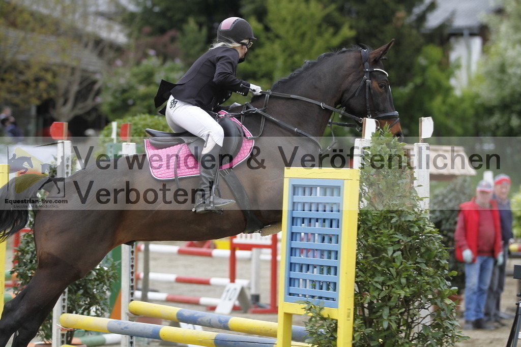 _MG_8222 | equestrian-live-com