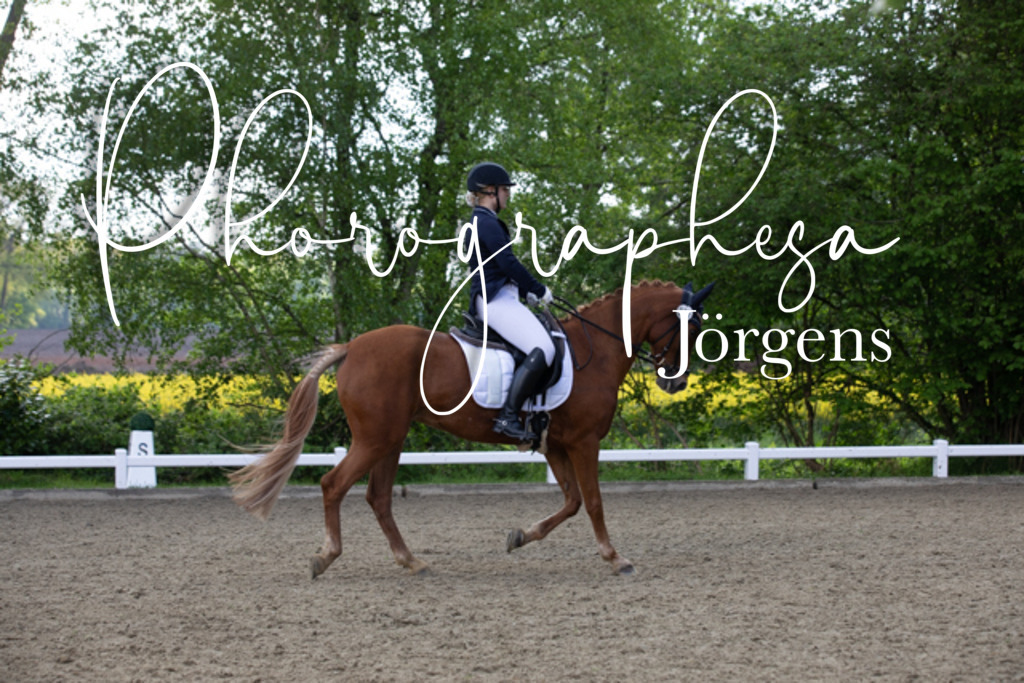 IMG_0175 | photographesa-joergens - Realisiert mit Pictrs.com
