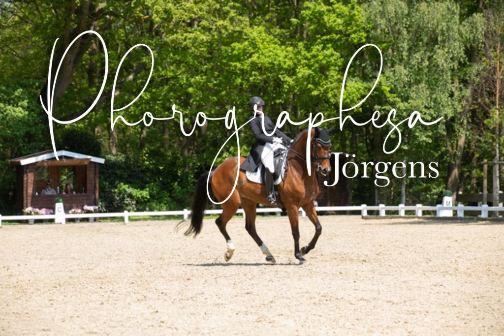 IMG_4777 | photographesa-joergens - Realisiert mit Pictrs.com