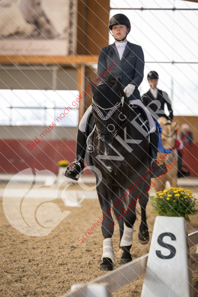 IMG_2939 | Hier findest Du viele Augenblicke aus den Bereichen der Turnier-, Sport- & Tierfotografie. Bilder mit deinem Liebling, Portrait-, Bewerbungs-, Businessbilder können ebenfalls schnell und einfach erstellt werden.