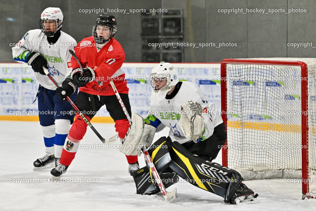 Österreich U17 vs. Slowenien U18  | Österreich U17 vs. Slowenien U18 , Österreich U17 vs. Slowenien U18  am 14.12.2024 in Ferlach (Eishalle Ferlach ), Austria, (Photo by Bernd Stefan)