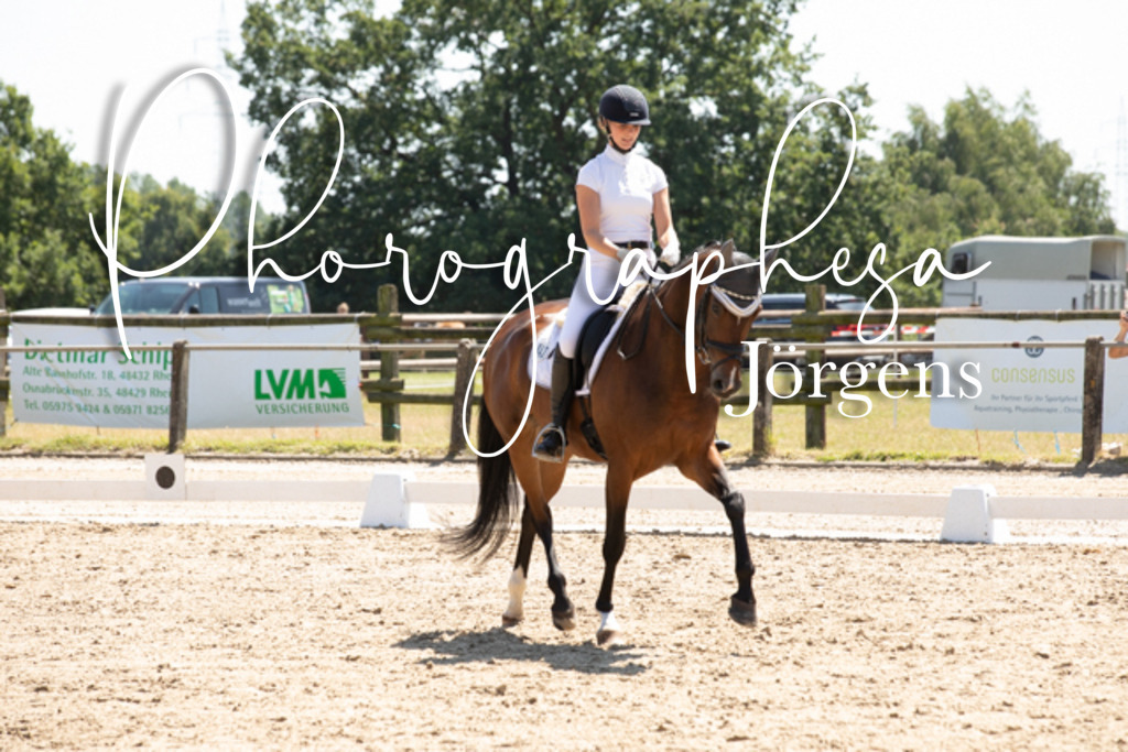 IMG_8769 | photographesa-joergens - Realisiert mit Pictrs.com