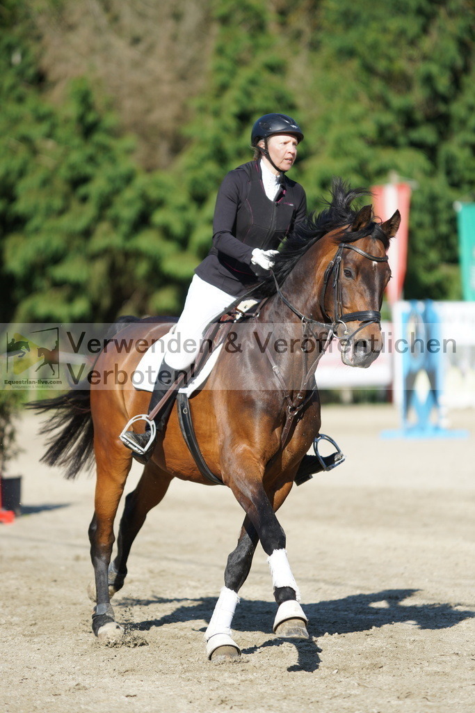 DSC05984 | equestrian-live-com