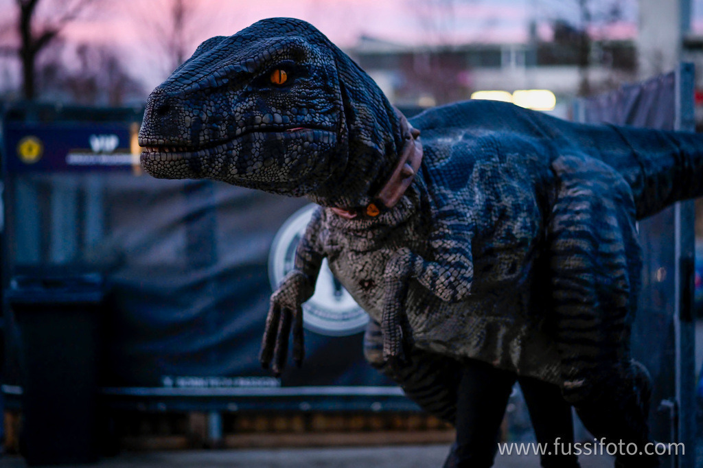 IMG_0064 | "Fussifoto.com – Ihr Ansprechpartner für hochwertige Fotografie! Entdecken Sie kreative Bilder und professionelle Dienstleistungen. Kontaktieren Sie uns für Ihre Projekte!"