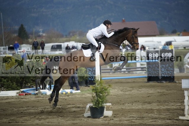 _DSC8052 | equestrian-live-com