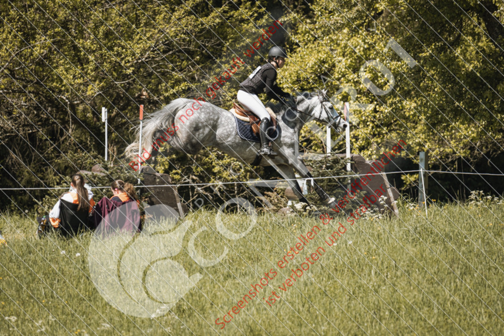 IMG_5750 | Hier findest Du viele Augenblicke aus den Bereichen der Turnier-, Sport- & Tierfotografie. Bilder mit deinem Liebling, Portrait-, Bewerbungs-, Businessbilder können ebenfalls schnell und einfach erstellt werden.