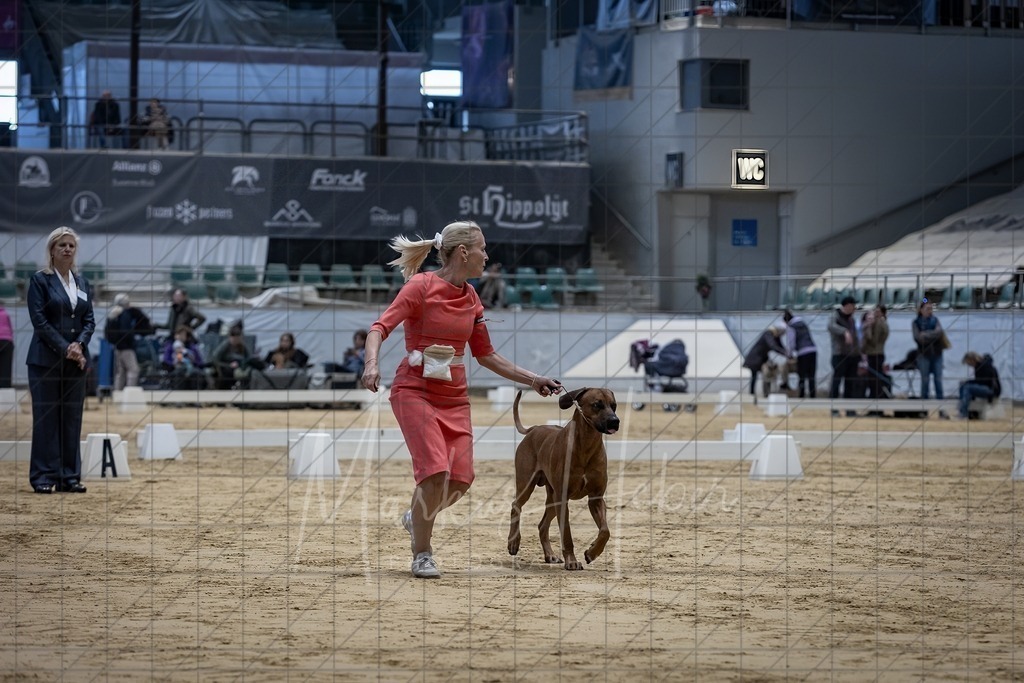 DS - FCI Gruppe 6_0046 | Markus Heber Photography