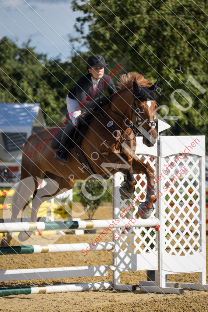 IMG_5366 | Hier findest Du viele Augenblicke aus den Bereichen der Turnier-, Sport- & Tierfotografie. Bilder mit deinem Liebling, Portrait-, Bewerbungs-, Businessbilder können ebenfalls schnell und einfach erstellt werden.