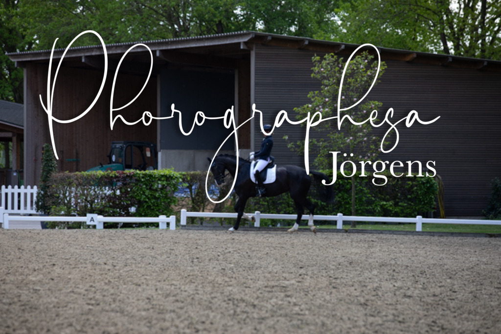 IMG_9354 | photographesa-joergens - Realisiert mit Pictrs.com