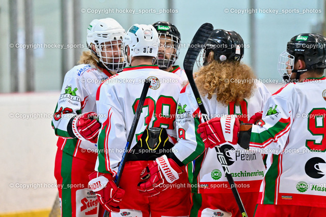 BST_9441 | hockey sports photos, Pressefotos, Sportfotos, hockey247, win 2day icehockeyleague, Handball Austria, Floorball Austria, ÖVV, Kärntner Eishockeyverband, KEHV, KFV, Kärntner Fussballverband, Österreichischer Volleyballverband, Alps Hockey League, ÖFB, 