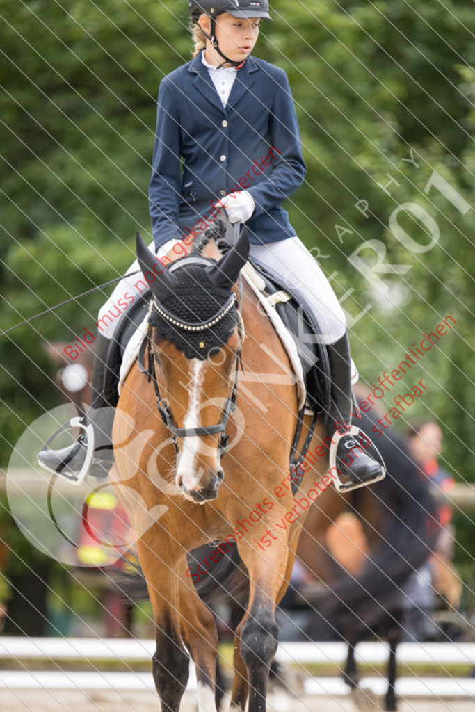 IMG_6235 | Hier findest Du viele Augenblicke aus den Bereichen der Turnier-, Sport- & Tierfotografie. Bilder mit deinem Liebling, Portrait-, Bewerbungs-, Businessbilder können ebenfalls schnell und einfach erstellt werden.