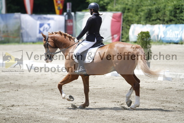 _MG_1303 | equestrian-live-com