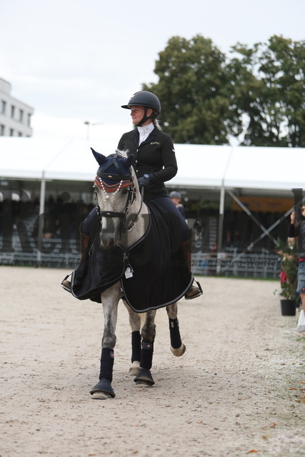 Offenburg_EuroCheval_2023_Working Equitation_Speed Trail (113) | Alle Fotos der Reiterjournal Fotografin Doris Matthaes im Reiterjournal Online-Fotoshop. - Realisiert mit Pictrs.com