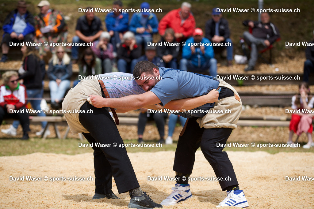 WDAV0077 | sports-suisse.ch - Realisiert mit Pictrs.com