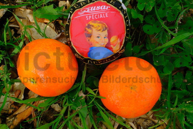 Mandarins | Fine Art Photography und künstlerische Bilder zum Kauf in unterschiedlichen Formaten und Editionen von picturetom ®.