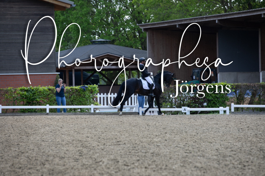 IMG_9254 | photographesa-joergens - Realisiert mit Pictrs.com